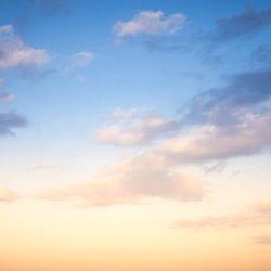 Fly in the Sky's cover