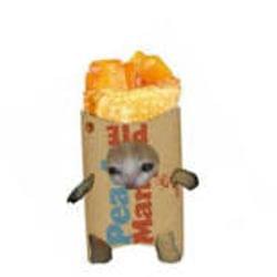 Fallen in the sea's cover