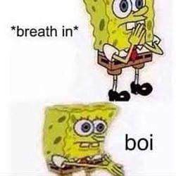 BOI WHAT ARE DOSE's cover