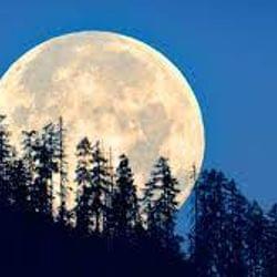 Kick of power's cover