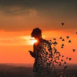 Falling To Pieces's cover