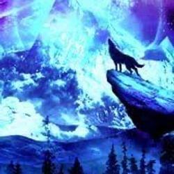 I’m not the animal 's cover