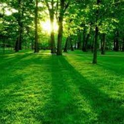 Oracle Palace: horizon 's cover