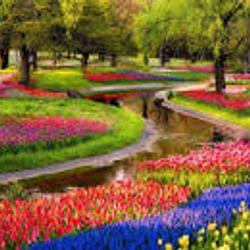 Oracle Palace: Garden's cover