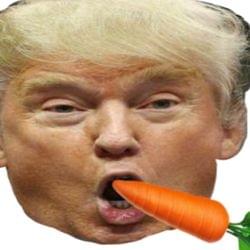 Like and mabye follow's cover