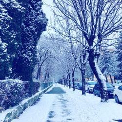 49°04′N 19°46′E's cover