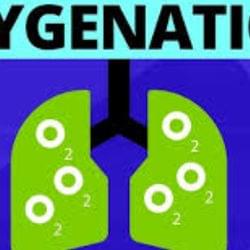 Drink 'n' and Sleep "n"'s cover