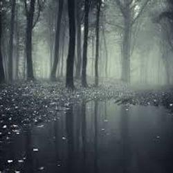 A place I will go's cover