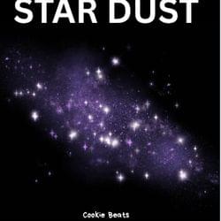 LEPU HOKU (STAR DUST)'s cover