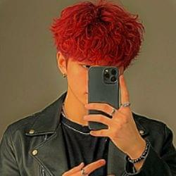 I dyed my hair red's cover
