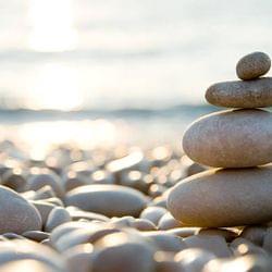 A blue heartbeat's cover