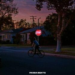 PANDA BEATS - Nostalgic's cover