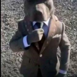 Reignaltype1990sbeat's cover