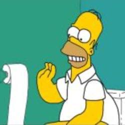 Homer Simpson song's cover