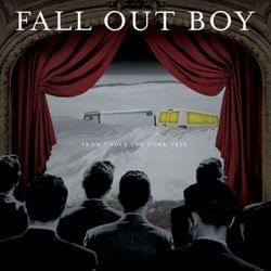 Fall Out Boy- "Sugar, We're Goin Down"'s cover