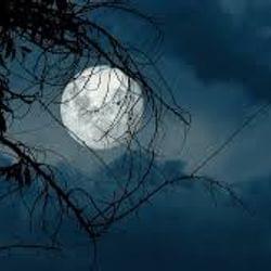 Gedanken um Mitternacht's cover