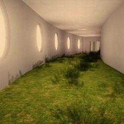 ;Maze;'s cover